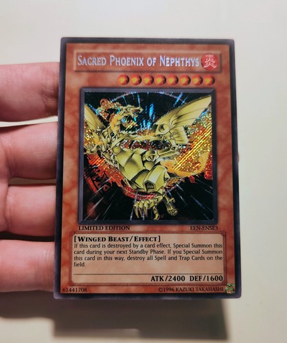 Sacred phoenix of - sacred,