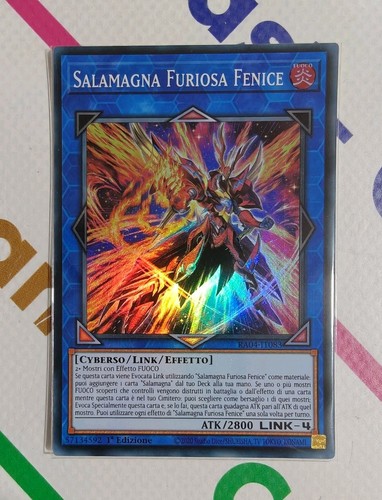 Salamagna furiosa fenice - salamagna, •