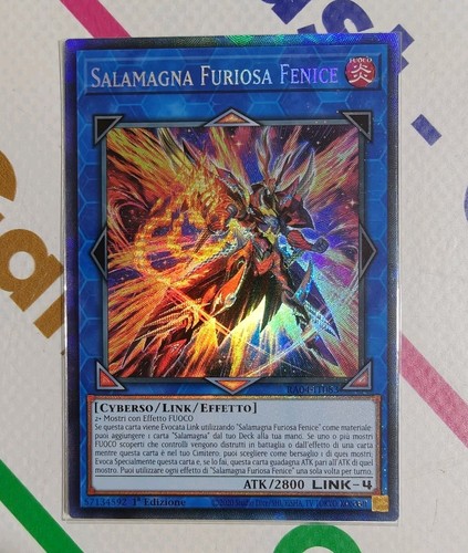 Salamagna furiosa fenice - salamagna, rara