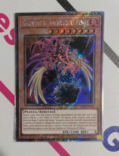 Grappolo amarillidi di - grappolo,